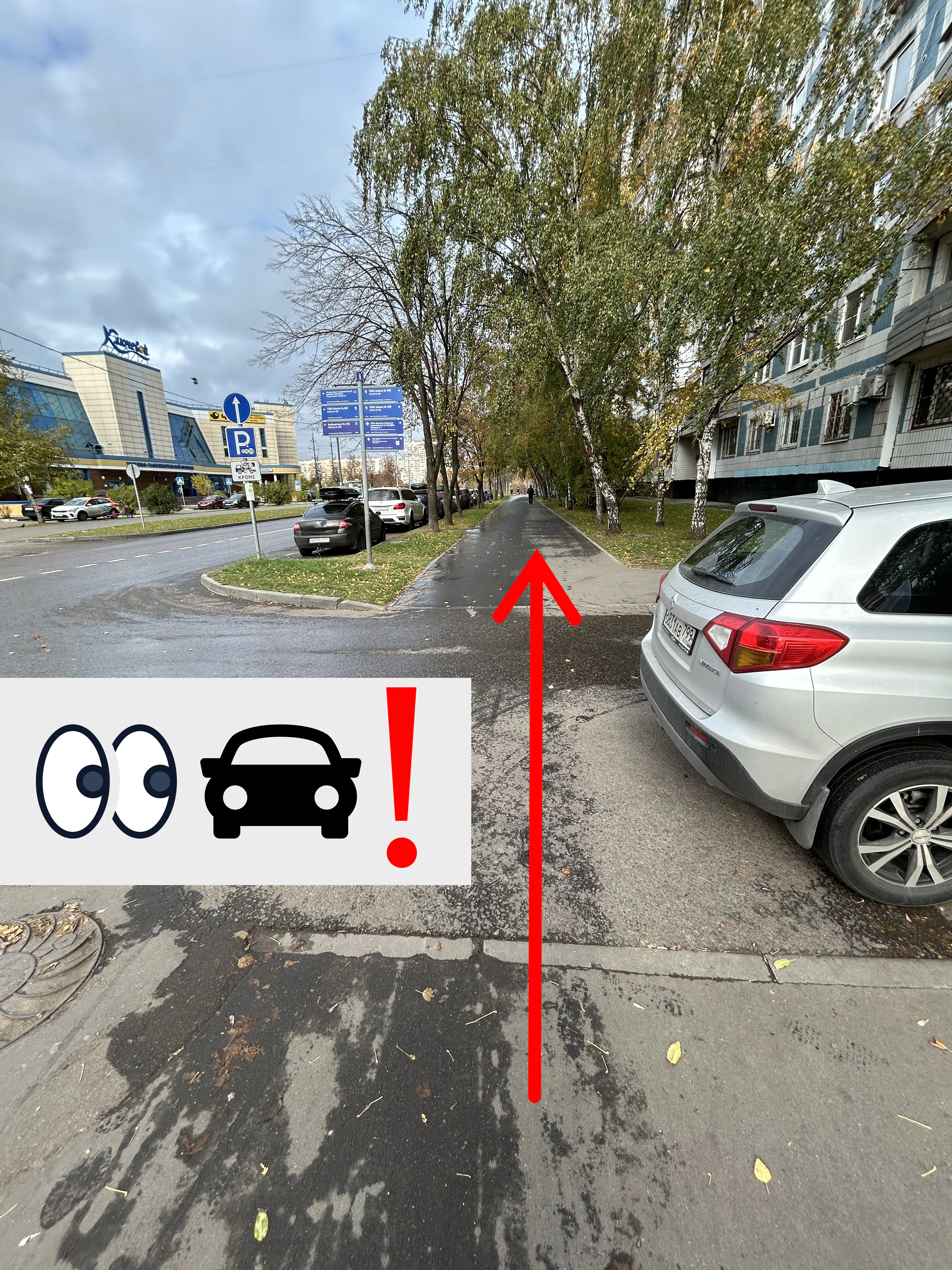 Перейти дорогу