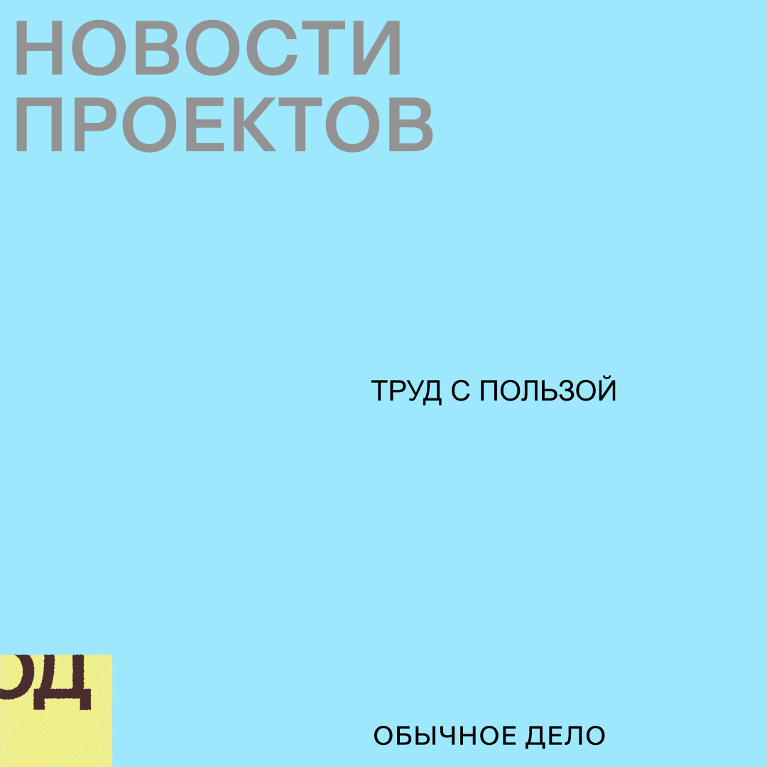 Проект «Труд с пользой»: подводим итоги
